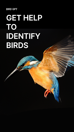 Birdero - Birding With Impact Screenshot 2