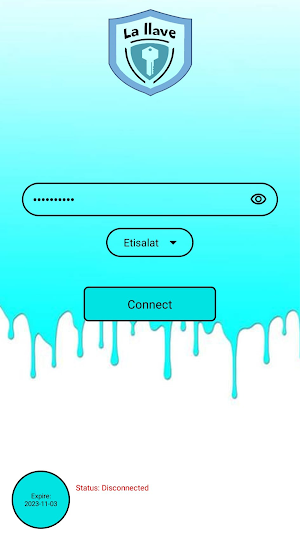 La llave vpn Screenshot 0