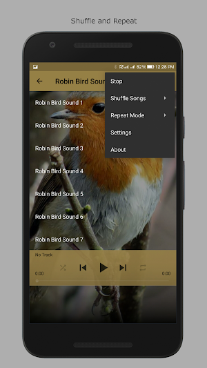 Robin Bird Sounds Screenshot 3