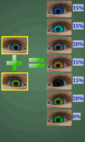 Predictor of Baby Eye Color Screenshot 2