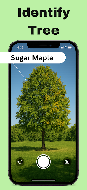 Tree Identifier : Treezy Screenshot 0