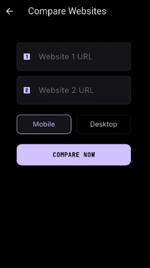 Website Speed Analyzer Screenshot 2