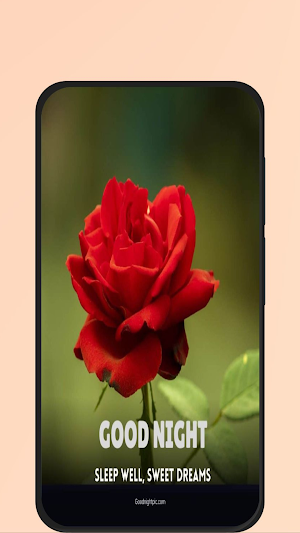 good night roses Screenshot 0