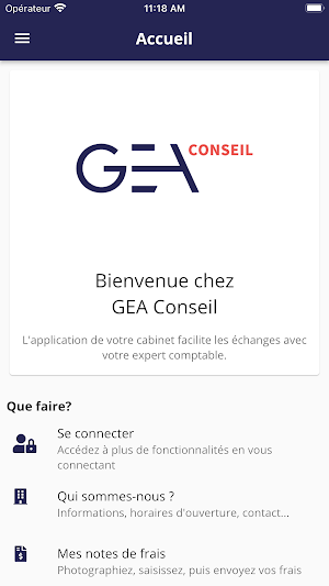 GEA CONSEIL Screenshot 0