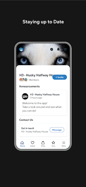 Husky Halfway House Screenshot 2