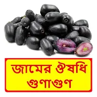 জামের ঔষধি গুণাগুণ