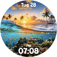 Palm Silhouette - watch face
