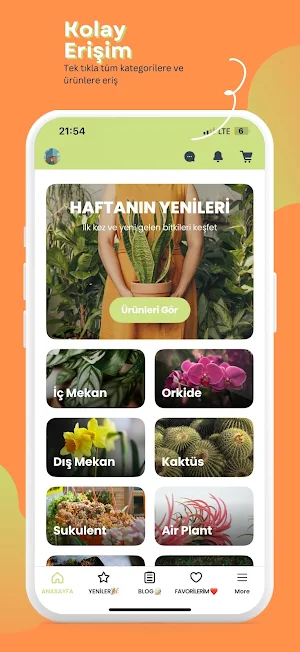 Betonish Screenshot 0