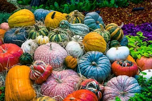 Vegetables wallpapers Screenshot 2