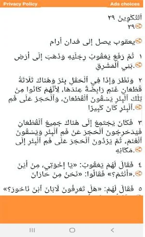 Audio Arabic Bible Screenshot 1