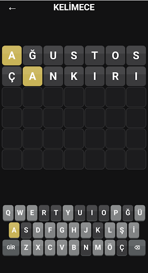 Kelimece Screenshot 3