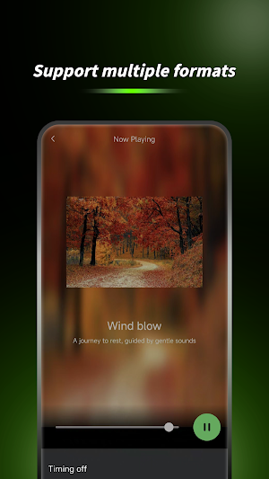Offline Music Player Screenshot 3