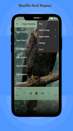 Eagle Sounds Screenshot 2