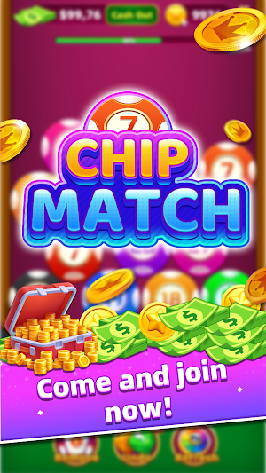 Chip Match Screenshot 0