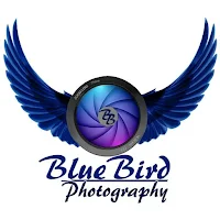 Bluebird Photography