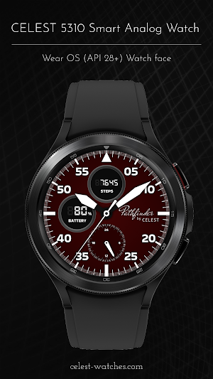 CELEST5310 Smart Analog Watch Screenshot 3