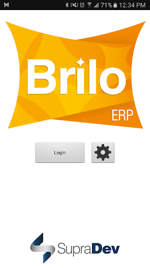 BRILO ERP Screenshot 0