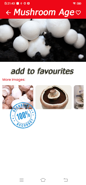 Mushroom identifier Screenshot 3