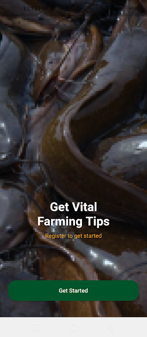 Vital Feed Screenshot 2