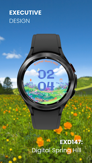 EXD147: Digital Spring Hill Screenshot 1