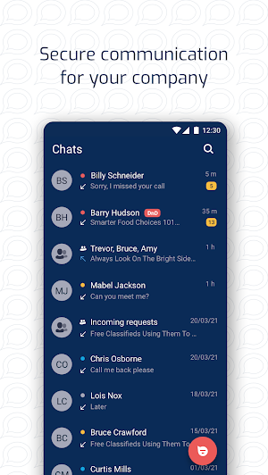 CleveroTel Screenshot 0