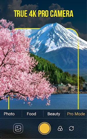 HD Camera Pro: AI Beauty Screenshot 1
