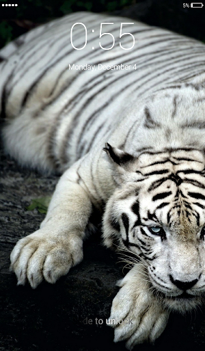 White Tigers Lock Screen Wallp Screenshot 1