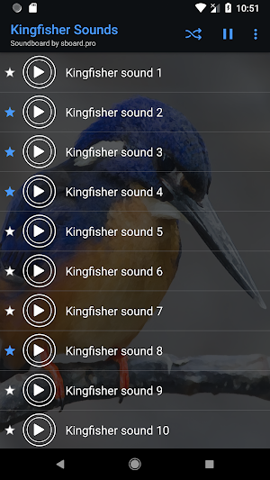 Kingfisher Sounds ~ Sboard.pro Screenshot 3