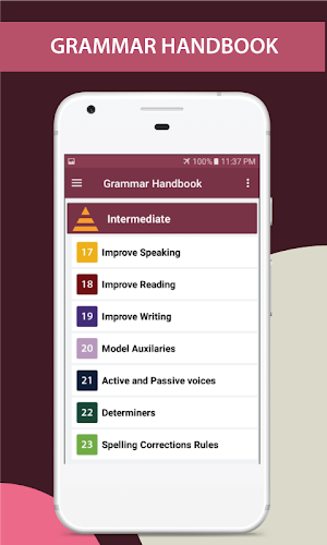 English Grammar Handbook Screenshot 0