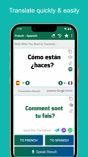 French - Spanish Translator Screenshot 1