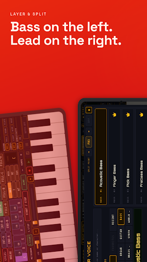 Arranger Pro Screenshot 3