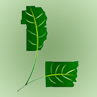 JB Green Team