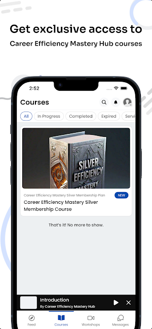 Career Efficiency Mastery Hub Screenshot 2