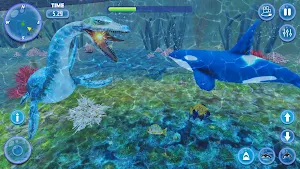Orca Killer Whale Simulator Screenshot 0
