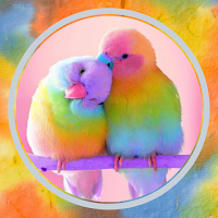Bird Wallpaper 4k - Ringtones