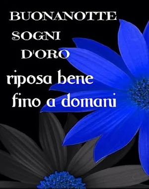 Buona notte Screenshot 3