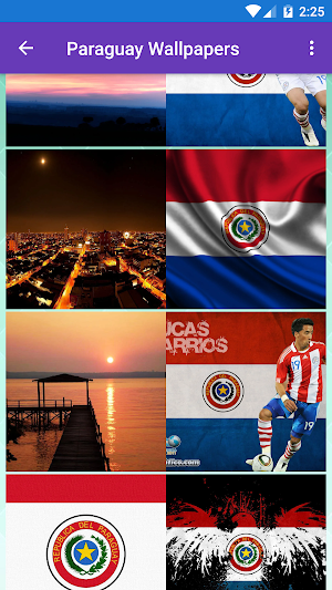 Paraguay Flag Wallpaper: Flags and Country Images Screenshot 2