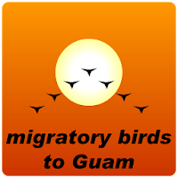 Bird to Guam