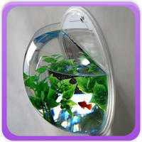 Aquarium Design Gallery