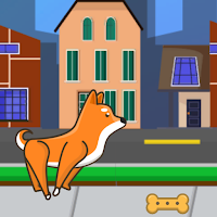 Dog Return Home