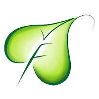Samarth Wealth