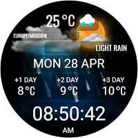 DIGI WEATHARN CTS25 Watch face