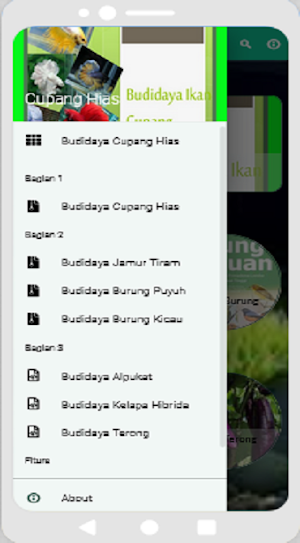Budidaya Ikan Cupang Hias Screenshot 3