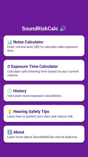 SoundRiskCalc Screenshot 1