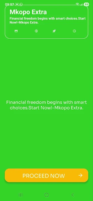 Mkopo Extra Screenshot 2