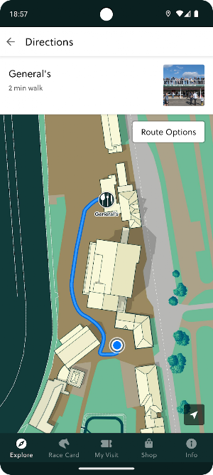 Carlisle Racecourse Screenshot 2