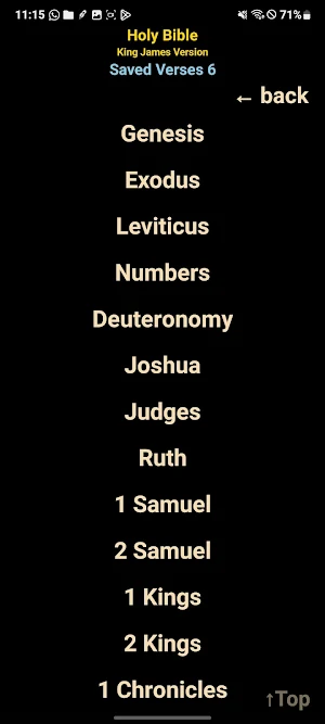 Holy Bible KJV Screenshot 3
