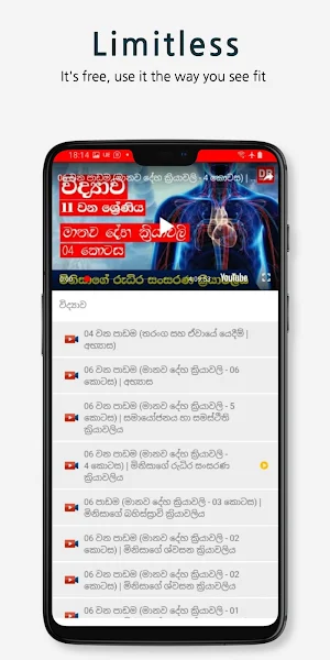 DP Education Screenshot 3