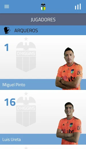 O'Higgins F.C. Screenshot 2