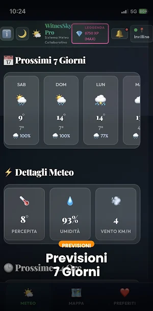 WitnesSky Meteo Live Weather Screenshot 3
